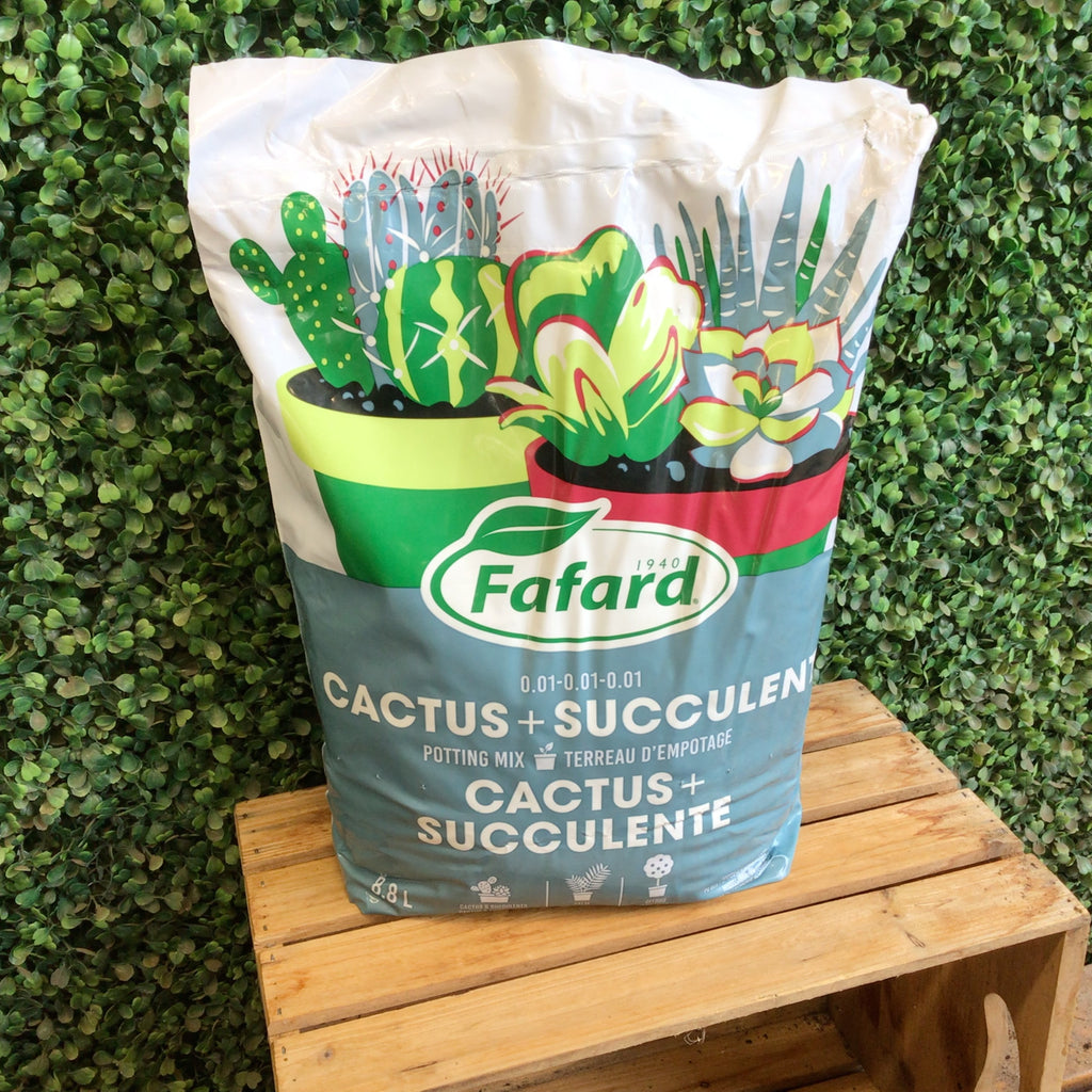 Potting Mix - Fafard Cactus + Succulent 8.8L