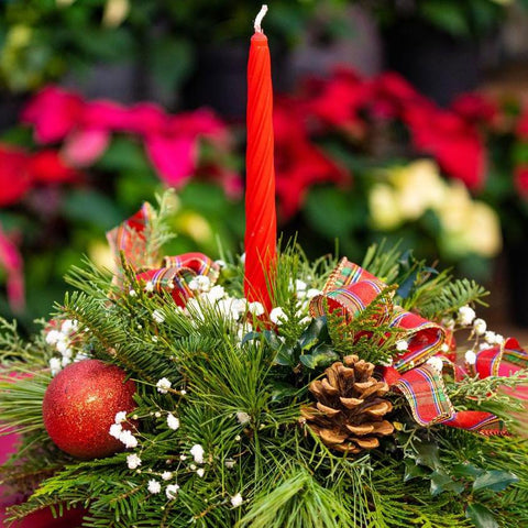 Winter Simplicity Centrepiece